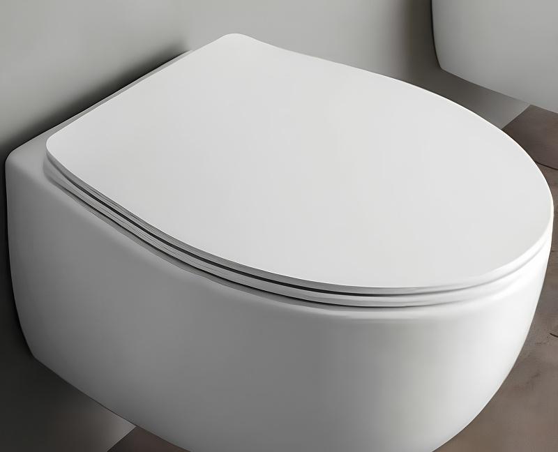 Simas Bormio, Унитаз подвесной, 43355130202