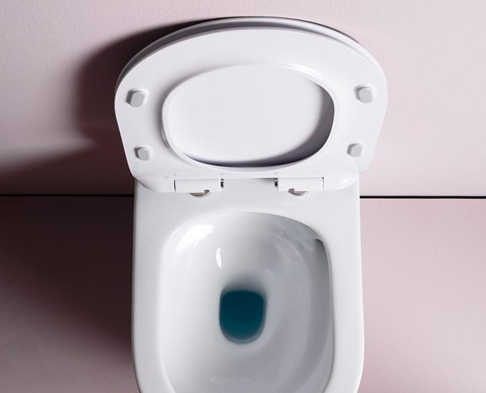 ArtCeram File 2.0, Унитаз подвесной, FLV006 01 00