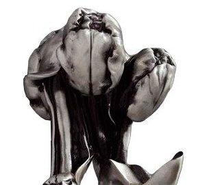 Art&Max Tulip, Крючок, AM-0822-T / AM-B-0822-T