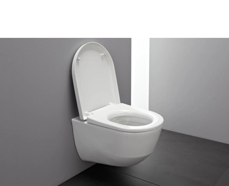 Laufen Pro, Унитаз подвесной, 6.2096.6.395.000.1 (8.2096.6.000.000.1 + 8.9395.9)