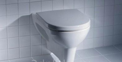 Laufen Pro, Унитаз подвесной, 8.2095.0.000.000.1