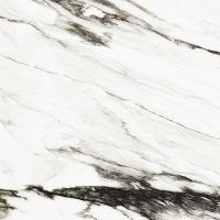 Xlight Paonazzo, Керамогранит, 120x120 см