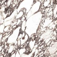 Xlight Viola, Керамогранит, 120x120 см