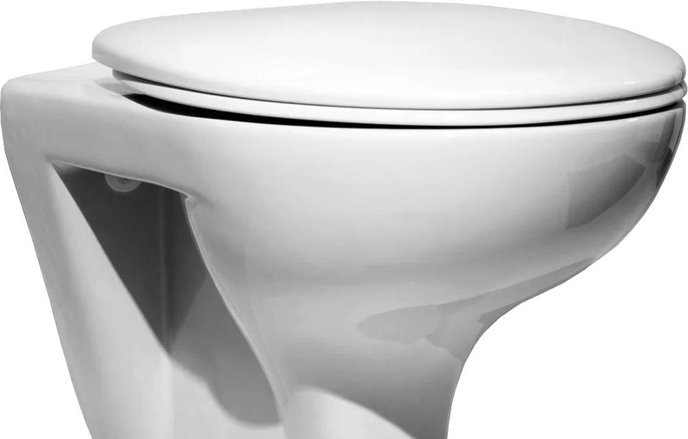 Geberit без коллекции, Унитаз подвесной с инсталляцией и кнопкой, PN48207WC