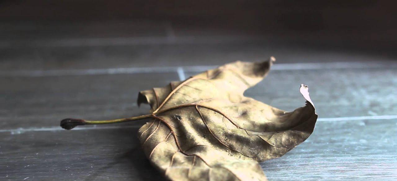 Картинка Pamesa Castle, Напольная плитка, 20x60 см