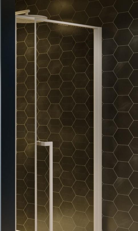 Душевая дверь - Riho, Lucid, 110x200 см, GD111W000 / GD104 GD111W000 / G005004122