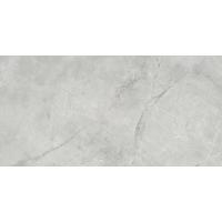 Ceracasa Arezzo, Керамогранит, 49.1x98.2 см