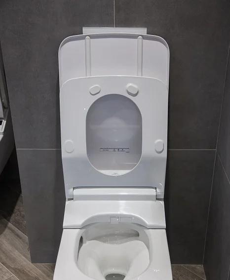 Toto RX, Унитаз подвесной, CW522EY