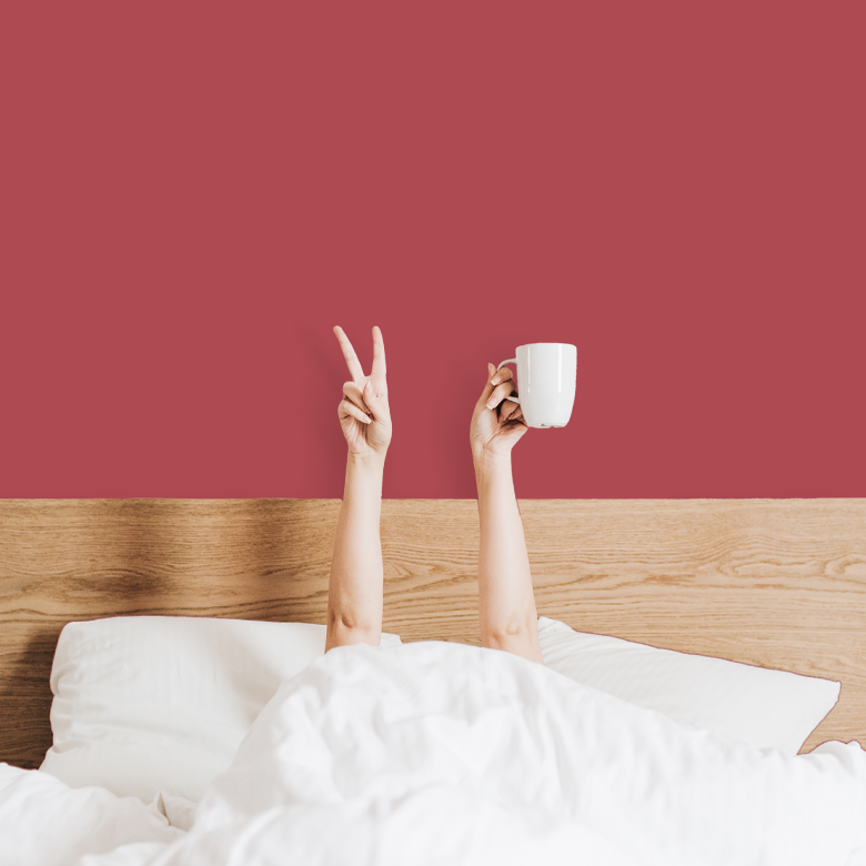 Краска Argile Vegatal V14, NORI