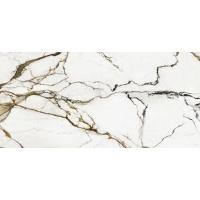 Xlight Paonazzo, Керамогранит, 120x270 см