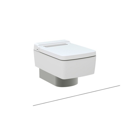 Toto SG, Унитаз подвесной, CW512YR