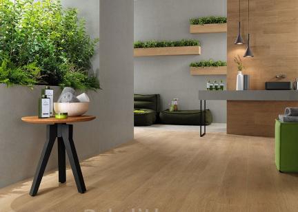 Картинка Atlas Nid, Керамогранит, 15x90 см