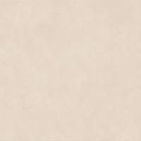 Atlas Boost Natural, Керамогранит, 60x60 см