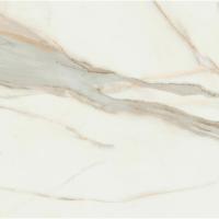 Pamesa Calacata Gold, Керамогранит, 120x120 см