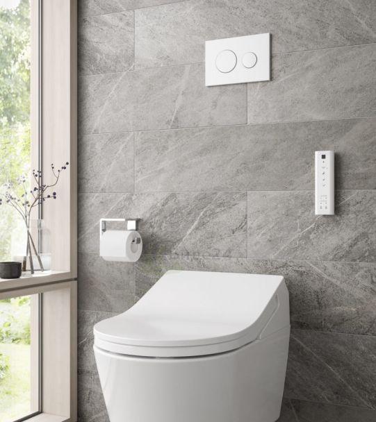 Toto RP, Унитаз подвесной, CW542EY