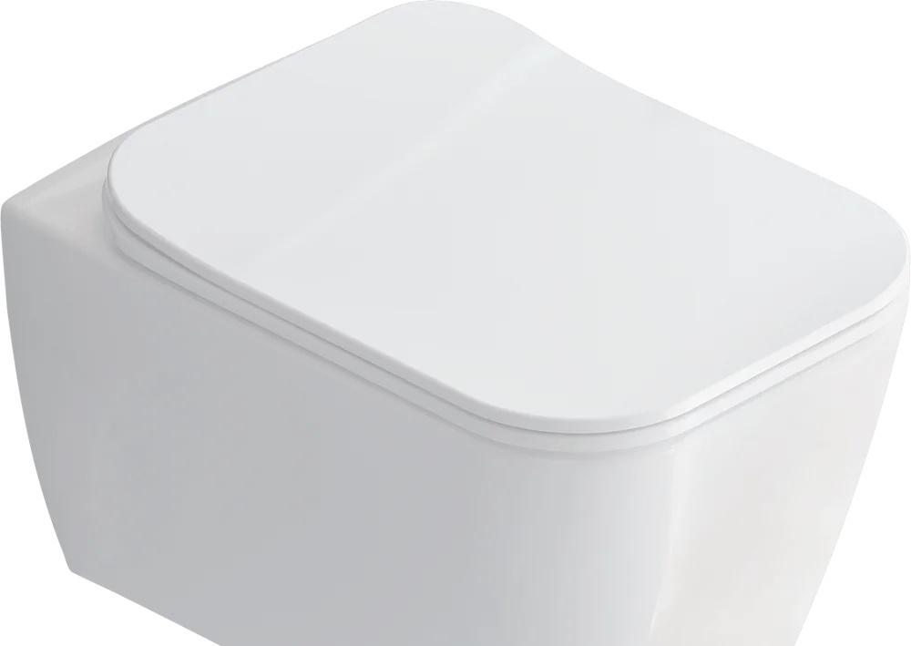 Geberit без коллекции, Унитаз подвесной с инсталляцией и кнопкой, FOS05.BI