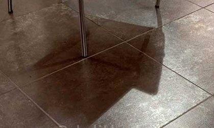 Картинка Ceracasa Evolution, Напольная плитка, 49.1x49.1 см