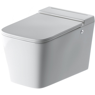 Grossman без коллекции, Унитаз подвесной, GR-5501 / GR-5501 impuls