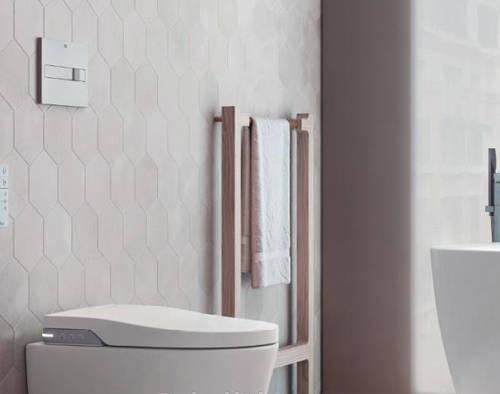 Кнопка смыва - Roca, In-Wall, 1x25x16 см, 890098001