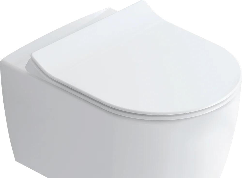 Geberit без коллекции, Унитаз подвесной с инсталляцией и кнопкой, Вн Крв63