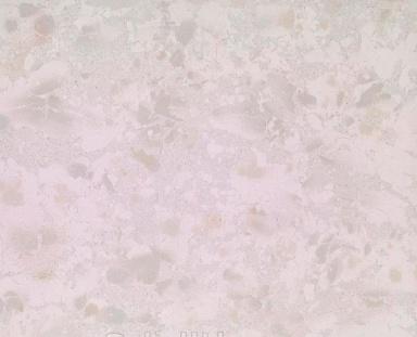 Картинка Leonardo Attitude, Керамогранит, 120x120 см