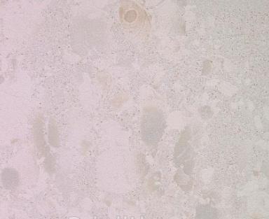 Картинка Leonardo Attitude, Керамогранит, 60x60 см