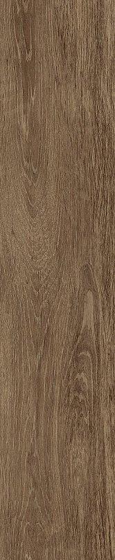 Картинка Baldocer Statuario, Керамогранит, 60x120 см