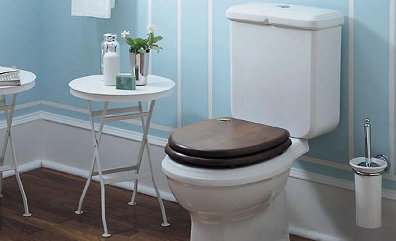 Simas Arcade, сиденья и крышки, AR007bi/oro