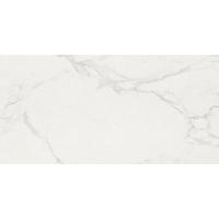 Pamesa At Portofino, Керамогранит, 60x120 см