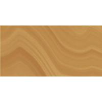 Ceracasa Absolute, Напольная плитка, 98.2x49.1 см