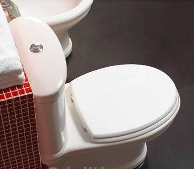 Vitra Conforma, сиденья и крышки, 115-003-006