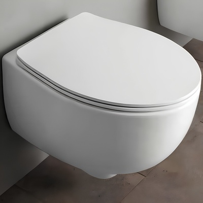 Simas Bormio, Унитаз подвесной, 43355130202