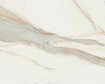 Картинка Pamesa Calacata Gold, Керамогранит, 120x120 см