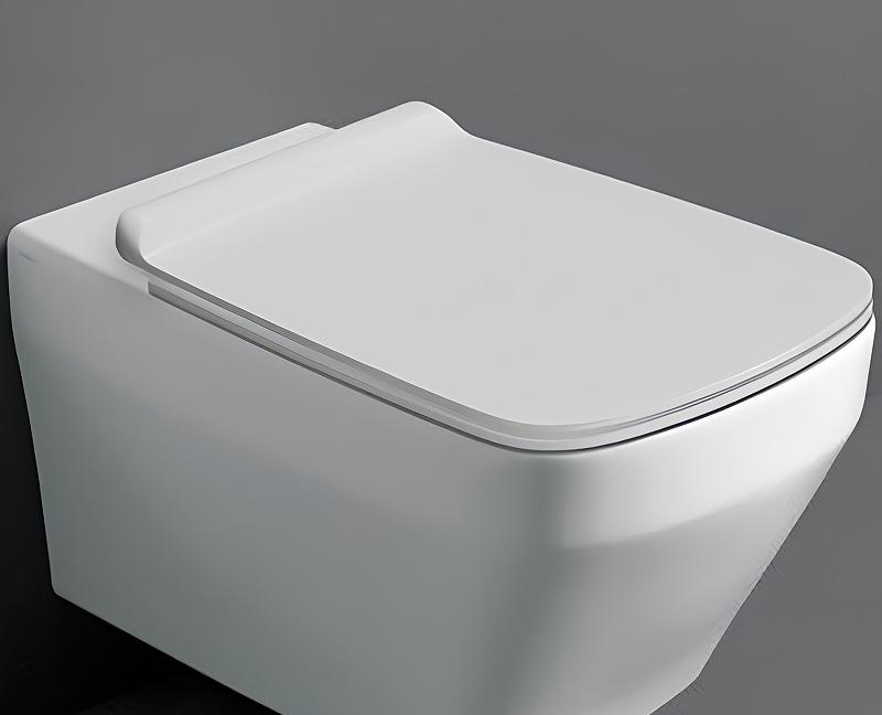 Simas Baden Baden, Унитаз подвесной, C748600SC