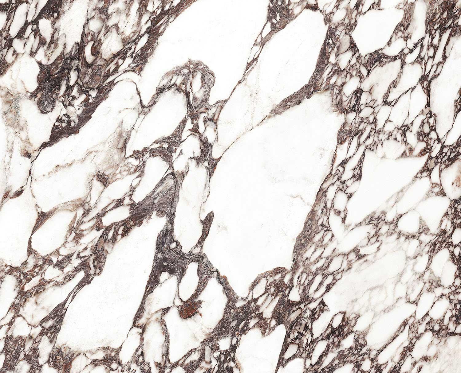 Картинка Xlight Viola, Керамогранит, 120x120 см