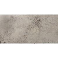 Ceracasa Evolution, Керамогранит, 49.1x98.2 см