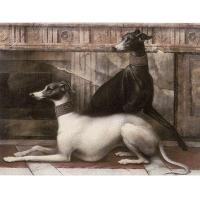 Petracer`s Grand Elegance, Декор, 15x20 см