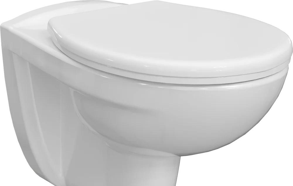 Geberit без коллекции, Унитаз подвесной с инсталляцией и кнопкой, C901701SC FlashClean / C901701SC