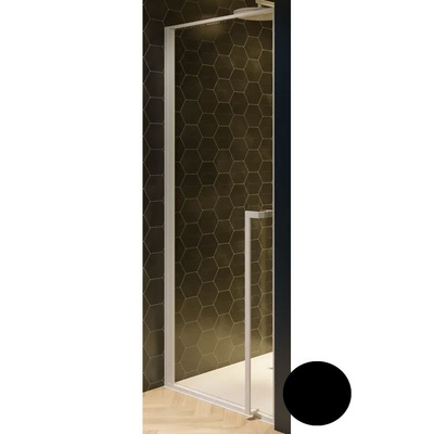 Душевая дверь - Riho, Lucid, 100x200 см, GD101 GD110B000 / GD110B000 / G005003121