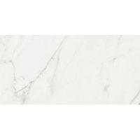 Baldocer Bplus, Керамогранит, 60x120 см