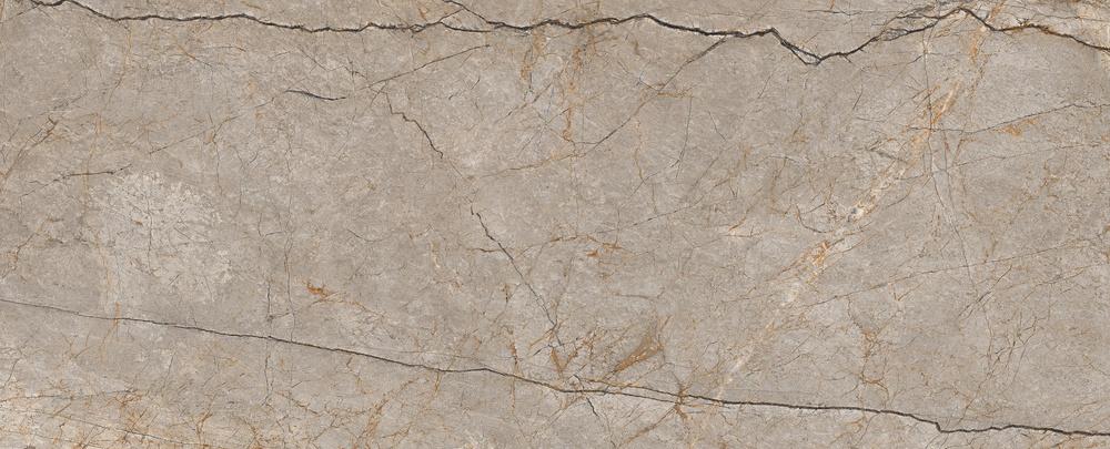 Картинка Cersanit Silver Roots, Керамогранит, 60x120 см