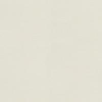 Apavisa Rendering, Керамогранит, 59.55x59.55 см