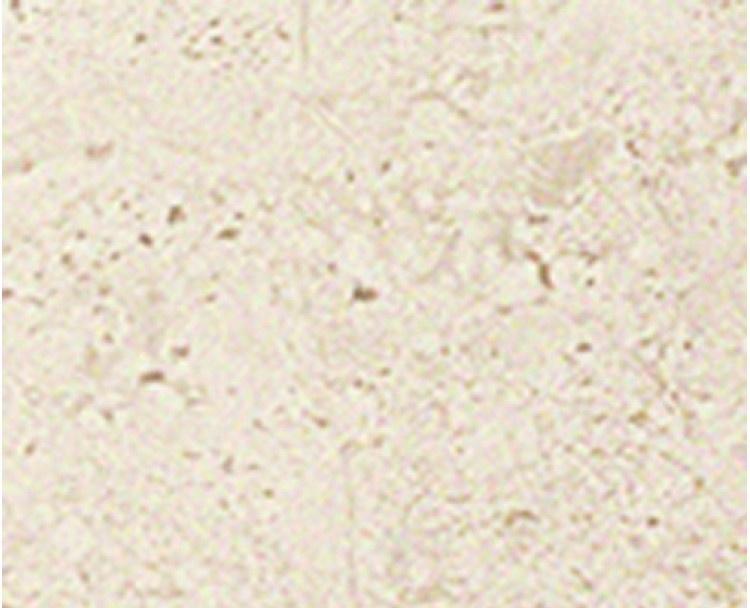 Картинка Pamesa CR Empoli-CR Senesi, Керамогранит, 22.3x22.3 см