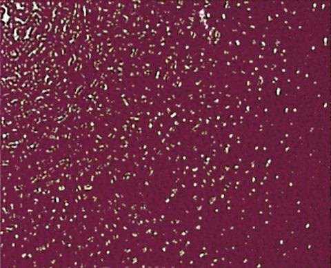 Картинка Petracer`s Grand Elegance, Керамогранит, 20x20 см